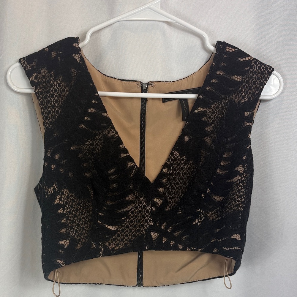 BCBGMaxAzria Black and Tan Lace Crop Top - Picture 1 of 5